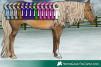 Horse Color:Chocolate Palomino Dun