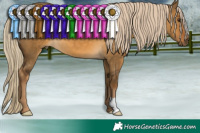 Horse Color:Chocolate Palomino Dun 