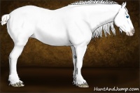 Horse Color:White Spotted Silver Classic Champagne Dun Splash Appaloosa Rabicano