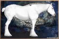 Horse Color:White Spotted Silver Classic Champagne Chinchilla Dun Splash Frame Varnish