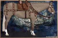 Horse Color:Silver Grullo 