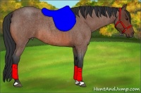 Horse Color:Bay Roan 