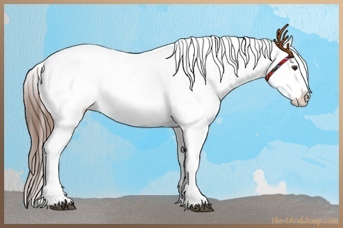 Horse Color:Red Ice Roan Sabino Splash Varnish 