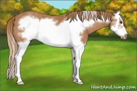 Horse Color:Chestnut Splash Frame Brindle