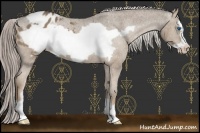 Horse Color:Chocolate Palomino Frame Appaloosa