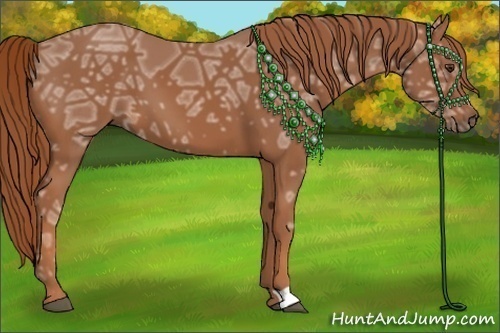 Horse Color:Chestnut Ice 