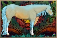 Horse Color:Watercolor Bay 