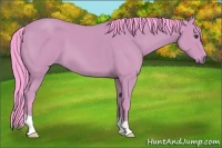 Horse Color:Watercolor Bay 