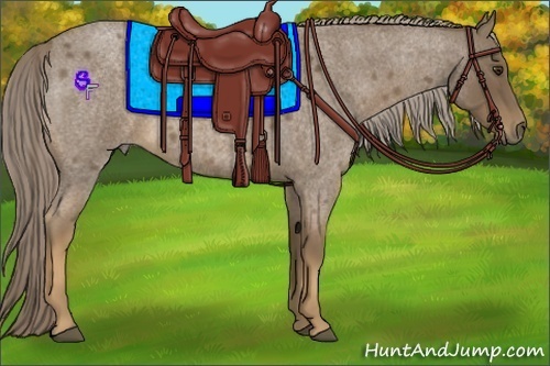 Horse Color:Chocolate Palomino Roan 