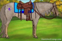 Horse Color:Chocolate Palomino Roan 