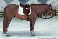 Horse Color:Chocolate Brown Rabicano and Chocolate Brown Rabicano