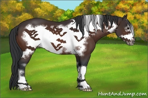 Horse Color:Bay Frame 