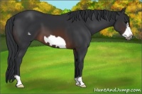 Horse Color:Brown Frame 