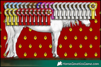 Horse Color:Silver Grullo Pearl Sabino Rabicano 