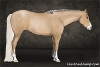 Horse Color:Silver Black Pearl Sabino Rabicano