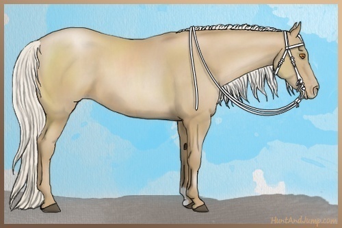 Horse Color:Silver Black Pearl