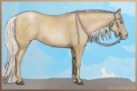 Horse Color:Silver Black Pearl 