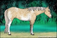 Horse Color:White Spotted Silver Bay Ice Dun Sabino 