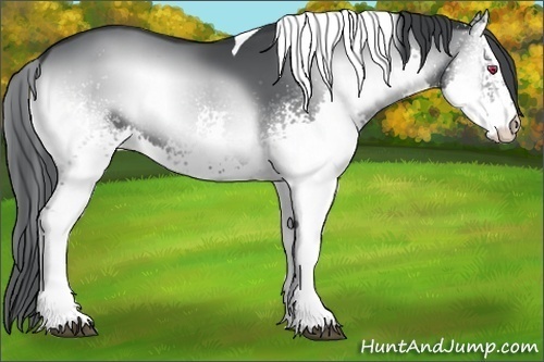 Horse Color:White Spotted Blue Onyx Chinchilla Splash Tobiano Rabicano
