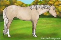 Horse Color:Silver Grullo Pearl 