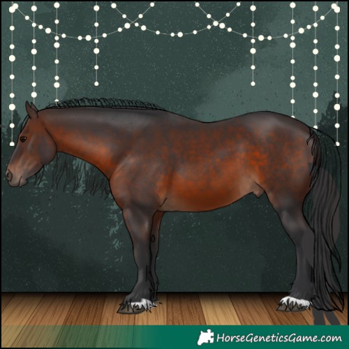 Horse Color:Brown 