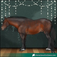 Horse Color:Brown 