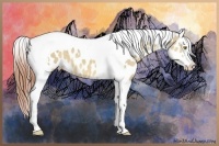 Horse Color:Sable Champagne Dun Tobiano Near Leopard