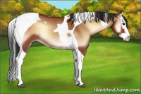 Horse Color:Bay Onyx Splash Tobiano 
