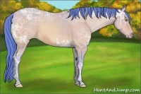 Horse Color:Watercolor Amber Champagne Ice Appaloosa