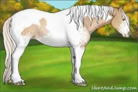 Horse Color:White Spotted Silver Brown Pearl Tobiano Rabicano