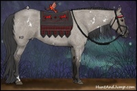 Horse Color:White Spotted Smoky Grullo Roan Rabicano 