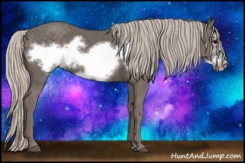 Horse Color:Silver Black Frame