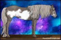Horse Color:Silver Black Frame