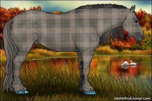Horse Color:Plaid Grullo