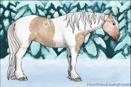 Horse Color:Silver Bay Ice Dun Tobiano Frame 