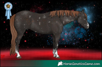Horse Color:Liver Chestnut Sabino 