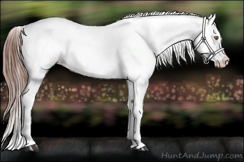Horse Color:Sable Champagne Varnish