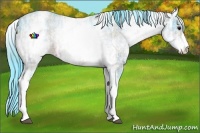 Horse Color:Watercolor Plaid  White Spotted Bay Ice 