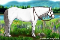 Horse Color:White Spotted Brown Near Fewspot Rabicano 