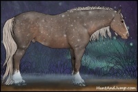 Horse Color:White Spotted Silver Black Appaloosa Rabicano 
