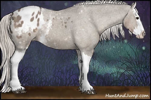 Horse Color:White Spotted Silver Grullo Splash Appaloosa 