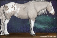 Horse Color:White Spotted Silver Grullo Splash Varnish 