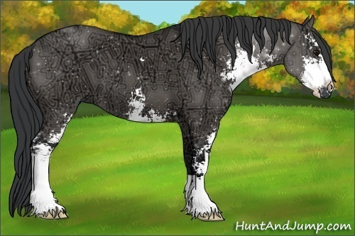 Horse Color:Grullo Ice Sabino