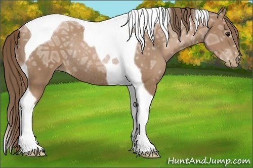 Horse Color:Black Ice Pearl Tobiano Rabicano