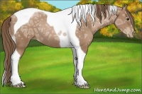 Horse Color:Black Ice Pearl Tobiano Rabicano