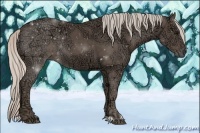 Horse Color:Silver Black Ice Sabino 
