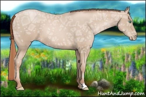 Horse Color:Smoky Black Ice Pearl 