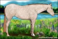 Horse Color:Smoky Black Ice Pearl 