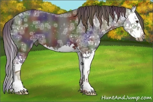 Horse Color:Nacre Liver Chestnut Ice Sabino Splash 