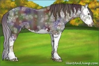 Horse Color:Nacre Liver Chestnut Ice Sabino Splash 